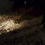 zoth-ommog-festival-lights-of-euphoria-11