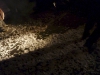 zoth-ommog-festival-lights-of-euphoria-11