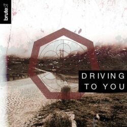 Artikelbild: The Brute – Driving To You