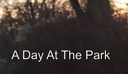 A Day At The Park Video