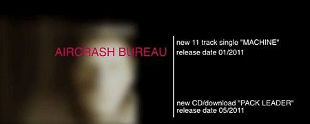 aircrash bureau 2011