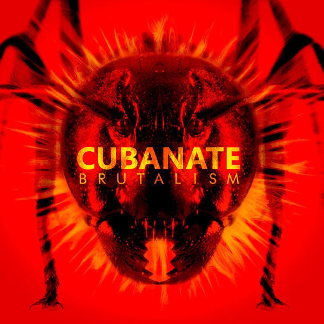 Cover der Cubanate Compilation