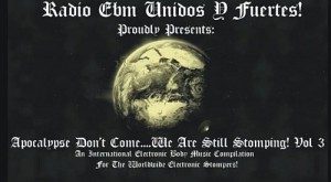 ebm-newcomer-sampler-2013