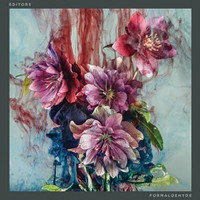 Editors - dritte Single Formaldehyde