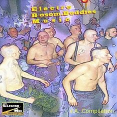 electrobosombuddiesmusic