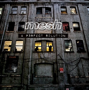 mesh - a perfect solution cover