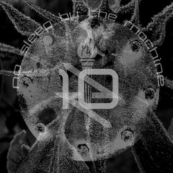 Cover: NSBTM – 10