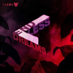 Artikelgrafik: Torul – End Less Dreams