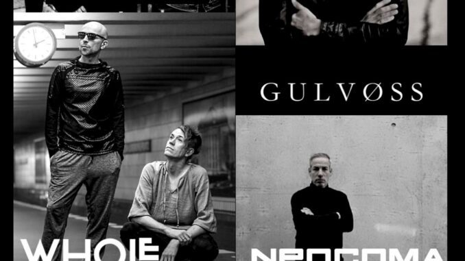 Tourplakat Göttingen Plakat NEOCOMA – THE BRUTE – GULVOSS – WHOLE